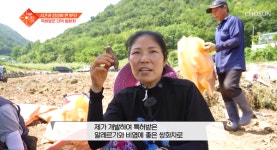 수제쌍화차 전통차 선물세트 숙이의뿌리효소이야기, TV조선 슬기로운 아침에 소개