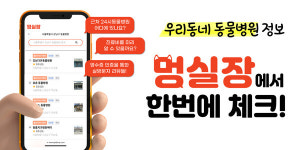메타펫 주식회사, 반려동물 건강 고민 해결사 멍실장 서비스 공식 런칭