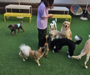 아이조아 요양보호소, 입양 가족에게 한정판 캘린더 굿즈 전달