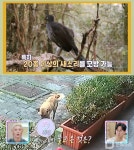 동물은 훌륭하다, NCT 텐 반려묘 위한 펫시피 공개