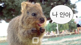 세대공감투어 주식회사(Intergeneration Tour Inc.) | 하나투어, MZ세대 공략 강화… '공감과 재미' 감성 마케팅 효과 입증
