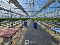 충주시, 스마트팜 확산 본격 추진… 기후변화 대응 농업 전환 박차