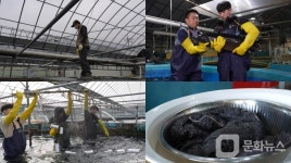 극한직업, 산에서 찾은 보물-석이버섯, 참마, 철갑상어 편 방송