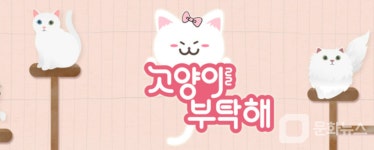 고양이를 부탁해, 넝쿨째 굴러온 여덟 고양이 편 방송