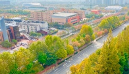 인천 계양구, 2025년 특색가로수길 우수기관 선정… 서부간선로 가치 인정