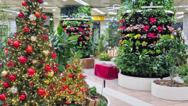 무채색 지하철역의 변신… 서울시, 5개 역사 겨울 정원 물들이다