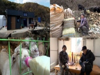 [나는 자연인이다] 약식혜, 항아리 바비큐...꿈꾸는 목장 자연인 이명규 사연은?