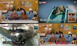 동물농장 자신만만했던 도전자들…AI 앞에 무너진 직감