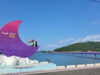 신안군, 관광 매력 전국에 알렸다...노래로 물든 퍼플섬