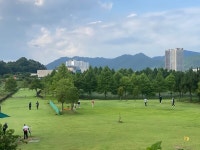 [기획] 함평, 게이트볼장 전철 밟나…파크골프장 무분별한 확충 경고음