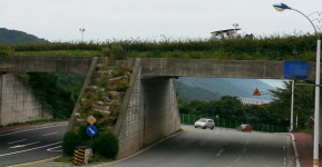 김해가야CC 카트 전복사고 1명 중상