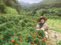 [경남 여성농업인을 찾아서]하늘바라기 농장 윤정자 대표