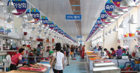 팔도장터 관광열차 관광객 사천 찾는다