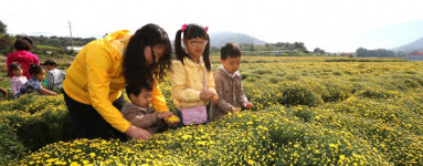 약초골 산청 체험투어 신청하세요