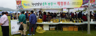 제6회 합천군 그린 희망마을 축제 개최