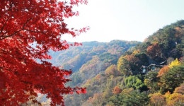 지리산자연휴양림 단풍…26일쯤 절정