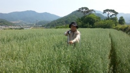 산청농기센터 국립식량과학원 연계 연구결과 발표
