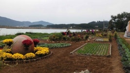 남해 창선면 추도 명품정원 즐기러 오세요