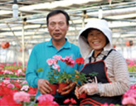 [경남농업마이스터를 찾아서]①화훼마이스터 김해 은혜농장 추장근