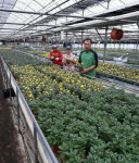 [경남농업마이스터를 찾아서]①화훼마이스터 김해 은혜농장 추장근