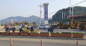 밀양시 가곡동 겨울맞이 꽃양배추로 단장