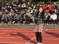 삼천포중앙고 매사냥 풍속 체험