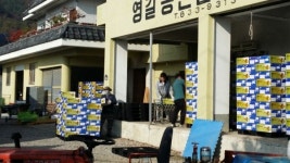 사천 제시골드키위 20t 일본 첫 수출