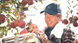 [경남농업마이스터를 찾아서]③사과마이스터 거창 땅강아지 사과농장 김정오