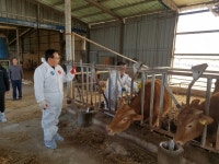 함안군 구제역 긴급 일제 예방접종 완료