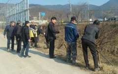 밀양 삼랑진읍 칠우회 가로수 가지치기 활동