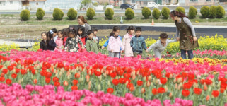 고성 플라워가든에 봄이 왔어요