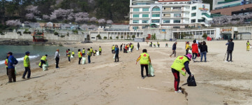 사천시 모례마을 해안변 대청소 실시