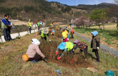 밀양 상동면 상동체육공원에 철쭉 2000주 식재