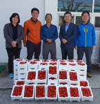 밀양 제일농산 건강기원 장수딸기 전달