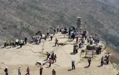 진달래 명산 대구 비슬산으로 가자