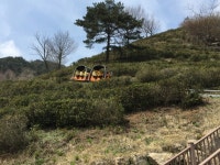 하동 구재봉 자연휴양림 사람이 몰린다