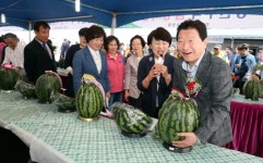 제24회 창원수박축제 성황