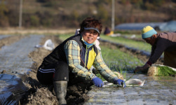 [경남 여성농업인을 찾아서 ]한국생활개선 거창군연합회 신헌주 회장