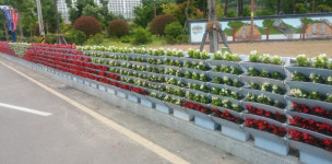 사천시 여름꽃으로 시가지 새단장