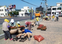 밀양 가곡동 싱그러운 여름꽃 식재