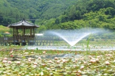 고성군 상리연꽃공원 연못 분수 설치