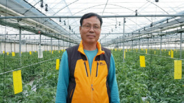 [경남농업마이스터를 찾아서]⑩토마토마이스터 사천시 용현면 봄춘농장 강동춘