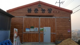 [경남농업마이스터를 찾아서]⑩토마토마이스터 사천시 용현면 봄춘농장 강동춘