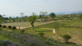 김해시 파크골프장 개장기념 골프대회