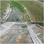 정비 끝낸 김해 율하천 아니 이럴수가…