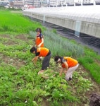 진주 금산면 좋은세상 맞춤복지 제공