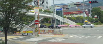 김해시 간선도로변 불법광고물 또 활개