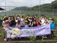 하동군청소년수련관 여름농장 블루베리 따기 체험