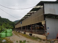 [경남농업마이스터를 찾아서]⑫한우마이스터 하동군 고전면 두루미농장 조정현