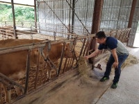 [경남농업마이스터를 찾아서]⑫한우마이스터 하동군 고전면 두루미농장 조정현